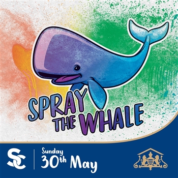 Come and spray the whale with us! Hull, East Yorkshire